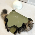 柏餅になる猫